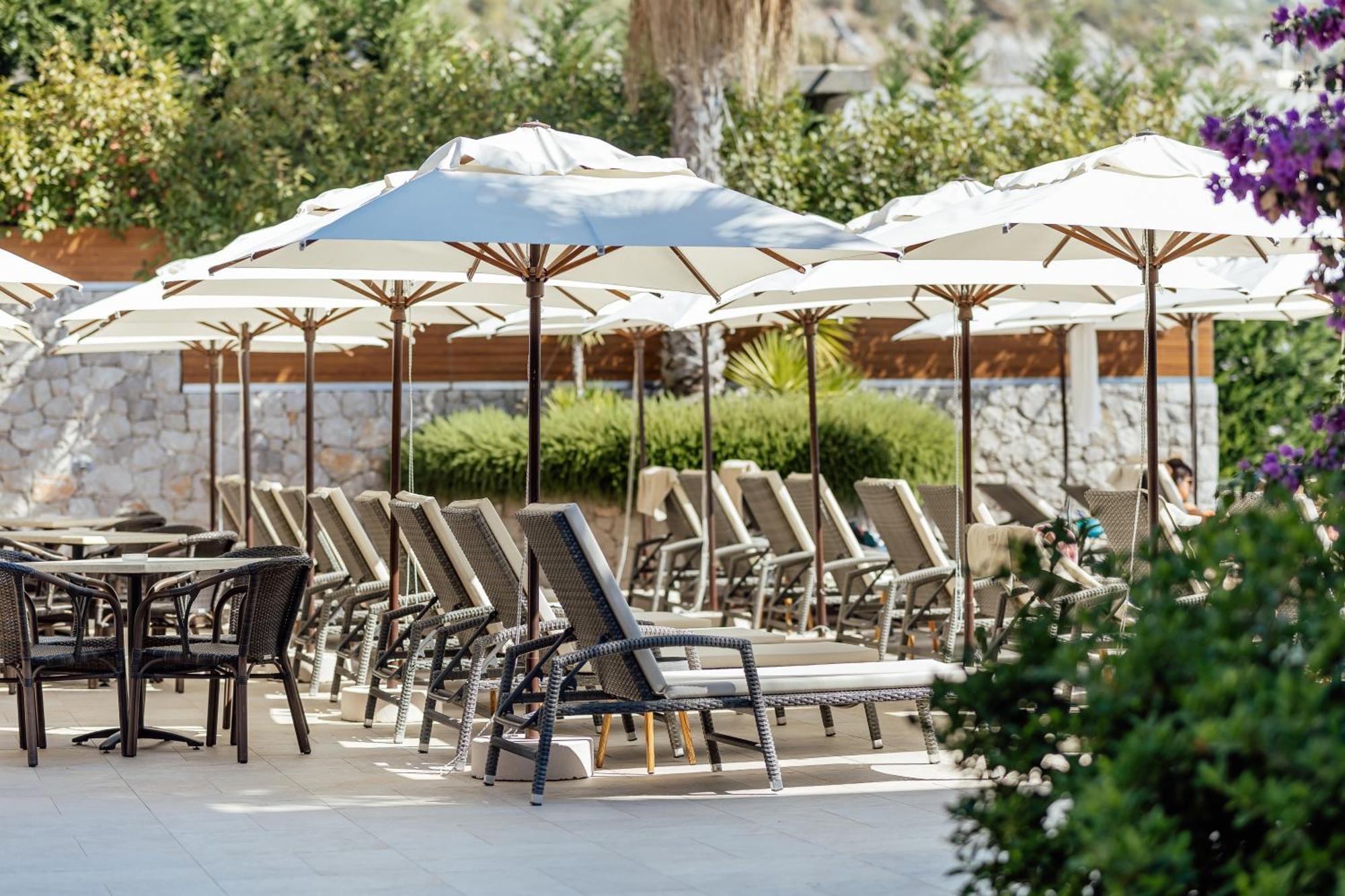 Bellezza Resort & Spa كوتور المظهر الخارجي الصورة